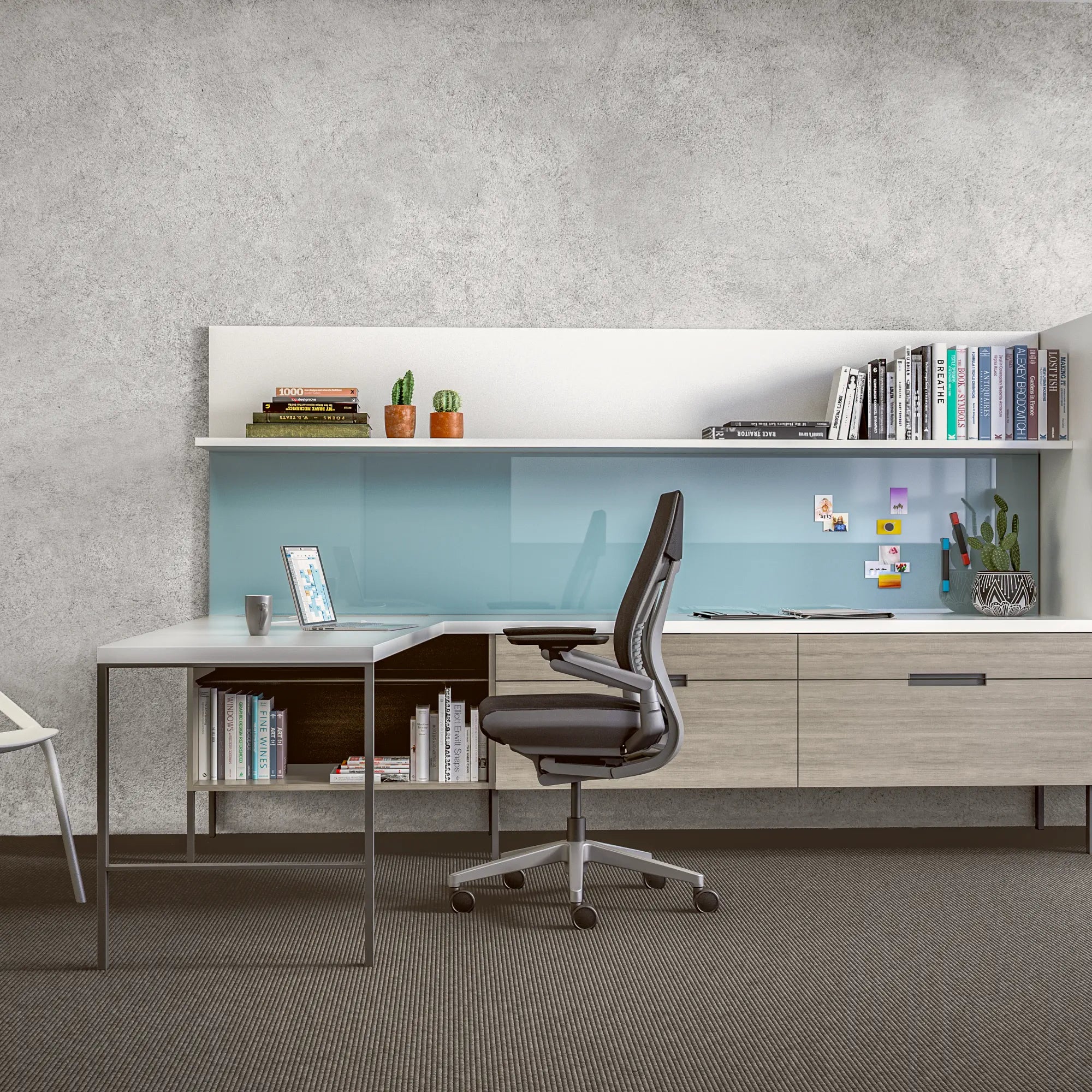 Shell back / Era Night Owl CSE13