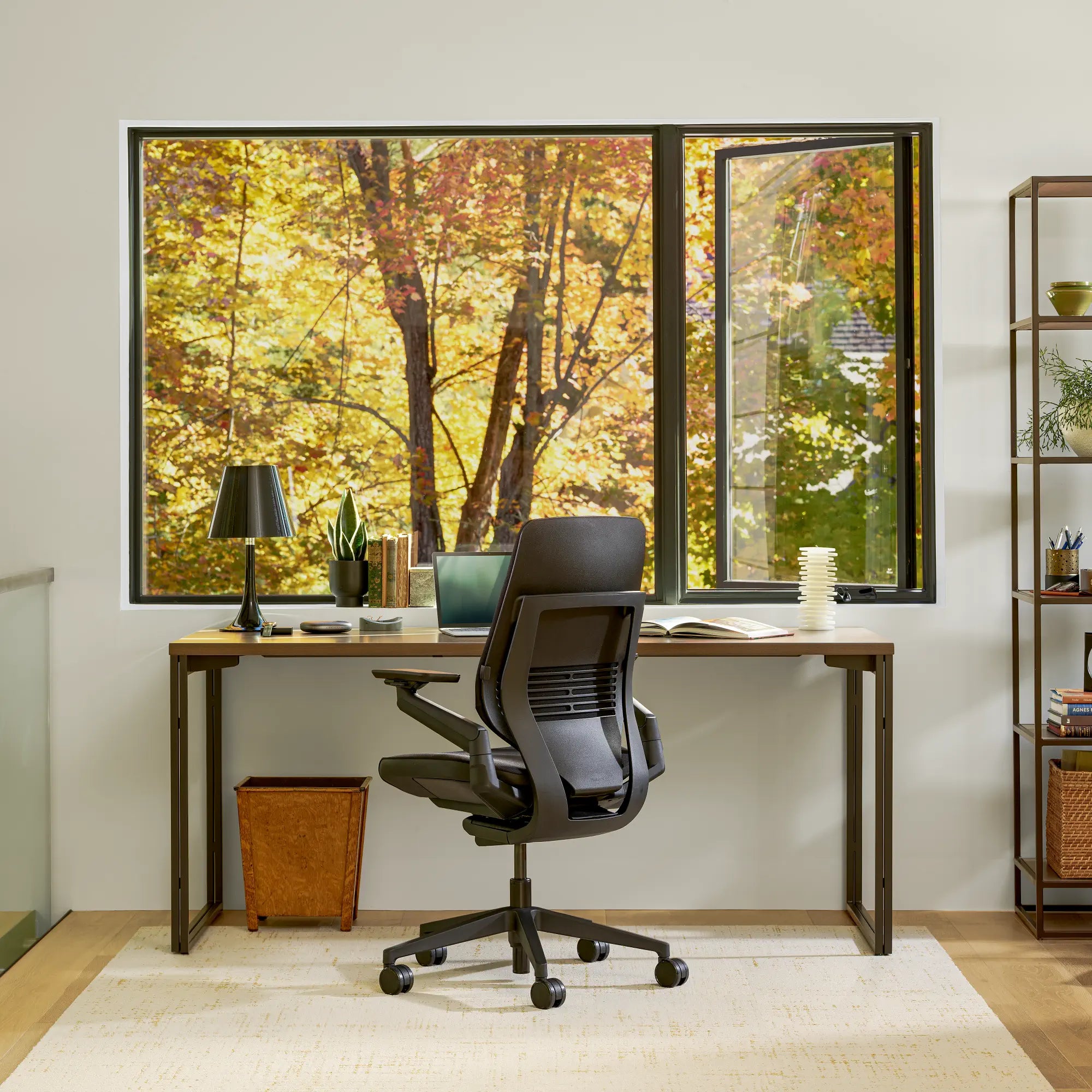 Shell back / Era Onyx CSE14